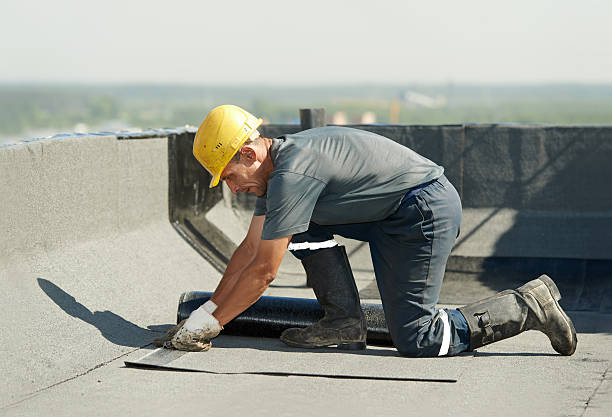 Best Insulation Maintenance and Repair in Ham Lake, MN